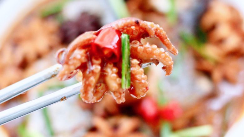  鲅鱼焖八爪蛸,无比鲜美又营养丰富，简直就是人间美味，米饭也会多吃两碗。