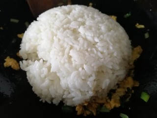 青菜炒饭,放入冷米饭。