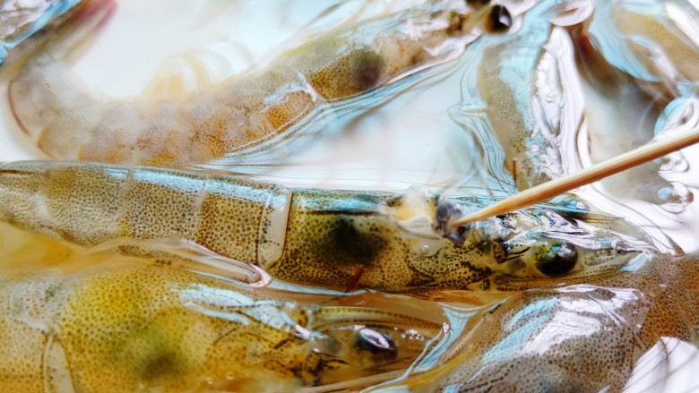 红烧虾,用牙签在虾枪位置把虾胃挑出来。
