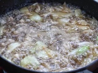红烧牛腩,添入足够量的热水没过锅中食材，大火煮沸后改中小火炖煮约一个小时。