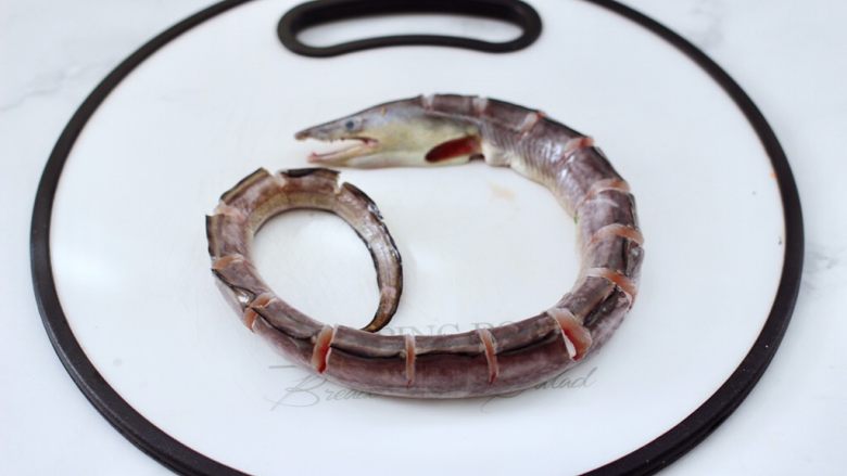 风味双椒蒸海鳗,<a style='color:red;display:inline-block;' href='/shicai/ 1533'>海鳗</a>去除内脏杂质洗净后，用刀从鱼的背部改刀，注意不要切断。