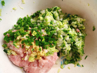 猪肉白菜水饺,然后将买好的猪肉沫与白菜沫，姜沫葱花组合。