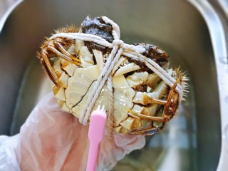 清蒸螃蟹,开始清洗大闸蟹，首先用干净的牙刷把蟹肚皮刷干净。