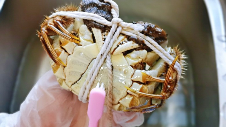 清蒸螃蟹,开始清洗大闸蟹，首先用干净的牙刷把蟹肚皮刷干净。