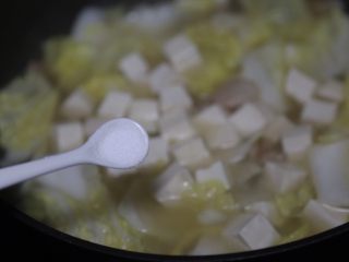 白菜豆腐汤,调入适量盐，继续煮约1分钟