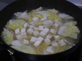 白菜豆腐汤,放入豆腐，盖上盖子继续煮约7、8分钟
