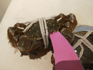 清蒸螃蟹,清洗螃蟹很关键，绳子打开是活的不好洗，先用刀扎它的眼睛。