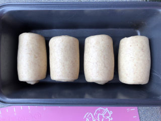 全麦炼乳吐司,四个面团分别进行两次擀卷后，整齐地码入吐司盒。