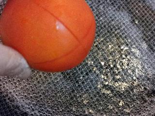 西红柿面疙瘩,放进沸水中