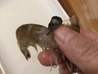 干贝海鲜粥,把虾头拔开一半，用手指把虾头的屎弄出来