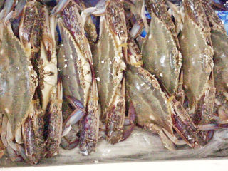 咖喱梭子蟹,这个季节的梭子蟹最鲜美了