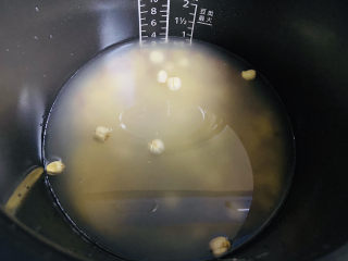 红豆小米粥,水量约800ml，盖上锅盖摁煮粥功能键，约40分钟