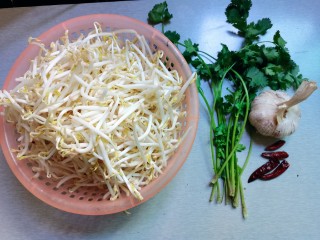 爆炒绿豆芽,食材准备好：豆芽，香菜，蒜头，干辣椒