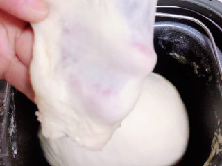 板栗饼,将面揉至完全阶段，能撑出非常强韧的薄膜。开始进行发酵。