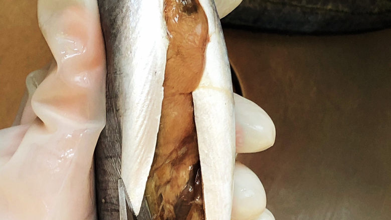 红烧鲅鱼,掏出鱼肚内的杂物