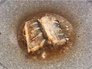 红烧鲅鱼,锅里加入大豆色拉油，油热后加入鲅鱼，煎至两面金黄