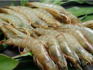 自制虾滑,这种新鲜的青虾就可以用来做虾滑。