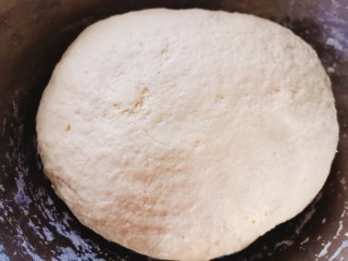 白菜肉包,再揉成光滑的面团，放置微波炉中发酵
