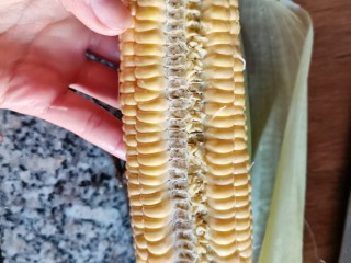 玉米粑粑.,用筷子先把一排玉米粒戳下来，再用手一排排剥下来