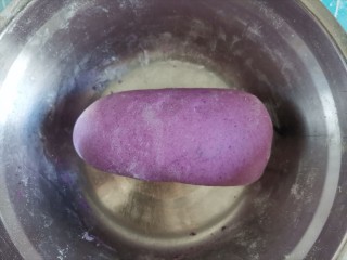 紫薯双色花朵馒头,揉均匀，使紫薯粉与面团完全融合