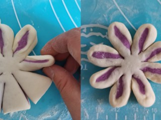 紫薯双色花朵馒头,再把每个花瓣用手朝一个方向转过来，用手按一下花瓣，整理成花朵