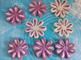 紫薯双色花朵馒头,全部做好，二次发酵30分钟