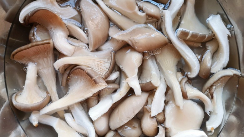 蘑菇炖豆腐,用淡盐水浸泡清洗干净。