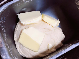 奶酪饼,面揉匀后，加入黄油，继续揉面。