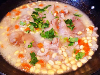 黄豆猪脚汤,所有食材完全入味最后撒上香菜提鲜即可出锅享用