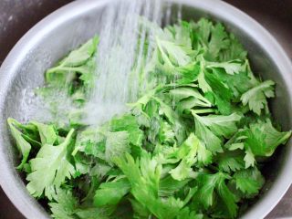 粉蒸芹菜叶,把摘好的芹菜叶，用自来水反复冲洗干净。