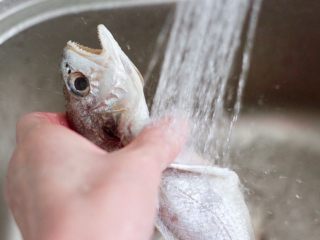 金汤黄花鱼,黄花鱼去除内脏后，用自来水反复冲洗干净。