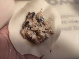 饺子,先包猪肉菌菇饺，在饺子皮中放入适量的馅料
