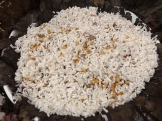 排骨糯米饭,上面铺上剩下的糯米，撒少水，（水量平时煮饭的五分之一）把荷叶盖上。