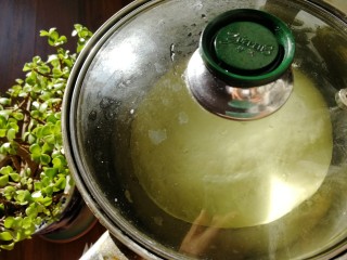 素三鲜柳叶包,密封放到室温发酵。