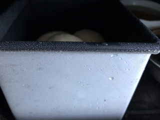 紫米水立方,烤箱放一碗开水进行二次发酵。