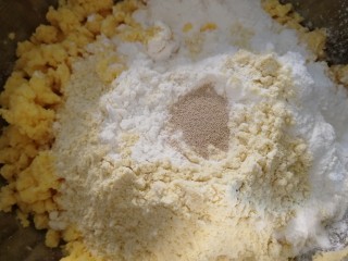 玉米面窝窝头,放入酵母粉。