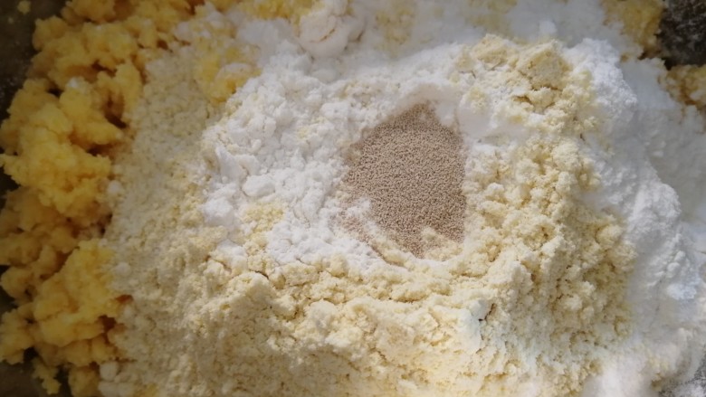 玉米面窝窝头,放入酵母粉。