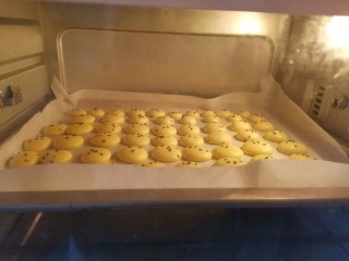蛋黄小饼干,送入预热好的烤箱，上下火150度烤15分钟，注意观察饼干上色情况