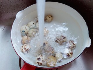 桂圆鸡蛋汤,鹌鹑蛋清洗干净。
