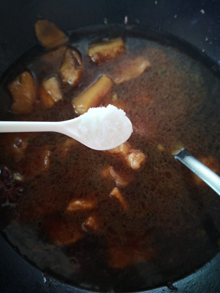 腐竹红烧肉,放入适量清水，没过肉就好，调入少许盐