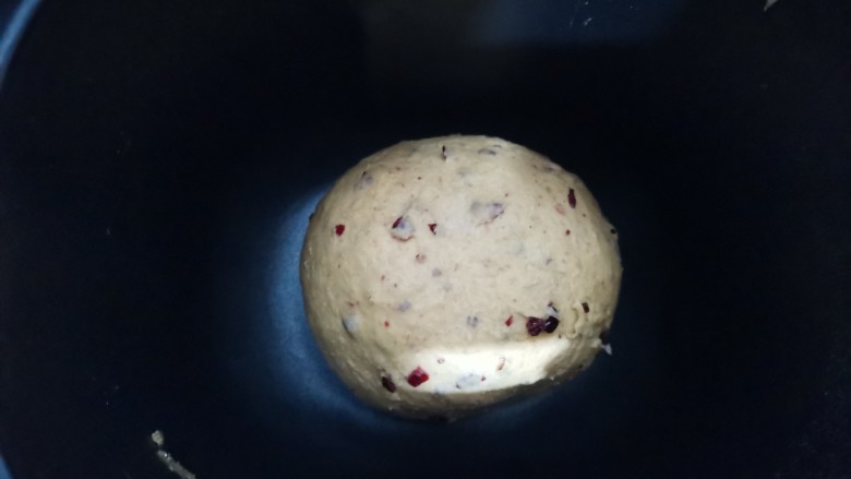 杂粮吐司,加入蔓越莓碎揉均匀，启动发酵功能2小时