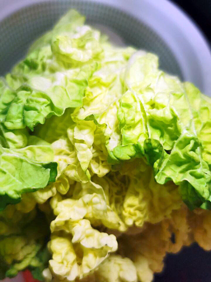白菜炒豆腐,这种白菜有黄有绿，很容易煮软