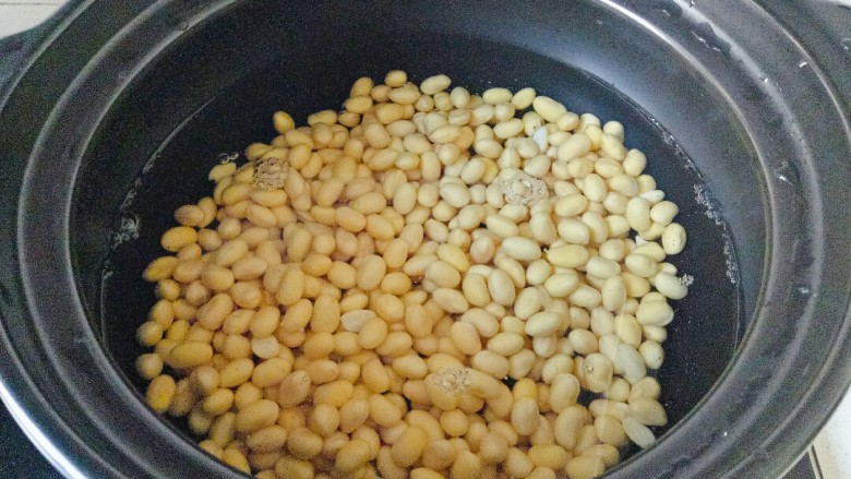 酱黄豆,黄豆放入砂锅中，加入没过黄豆半指的水
