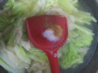 白菜粉丝汤,加入适量的盐，五香粉