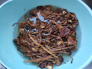 干锅茶树菇,茶树菇提前浸泡半小时