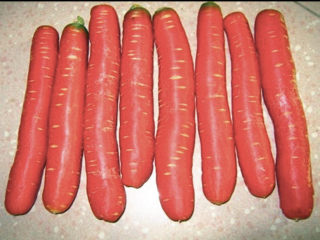 牛肉火锅,将胡萝卜也切成条，用的是这种颜色比较红的胡萝卜，味道很甜。