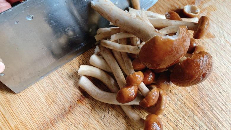 干锅茶树菇,将鲜的茶树菇洗净，切段～