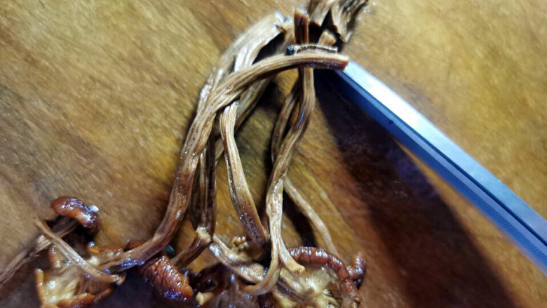 茶树菇炖鸡汤,剪去茶树菇的菇脚