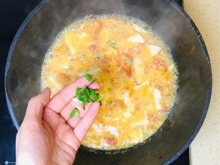 西红柿豆腐汤,撒入葱花