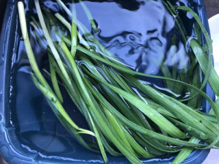 韭菜炒虾米,摘去老叶后放果蔬洗盐浸泡片刻。